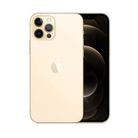 Смартфон Apple iPhone 12 Pro 512GB (Gold)